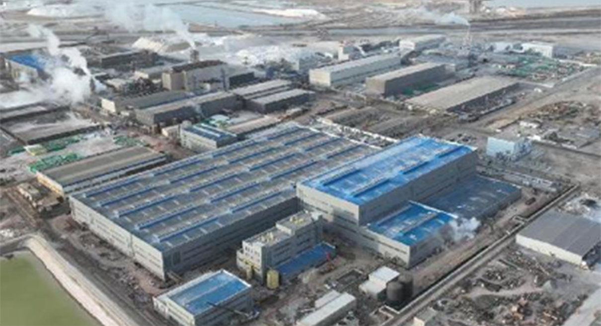 Membrane Process: 20,000 t/a LCE