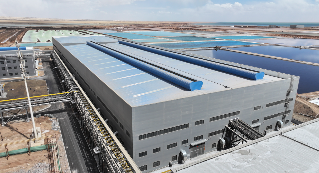 Adsorption Coupled Membrane Process: 15,000 t/a LCE