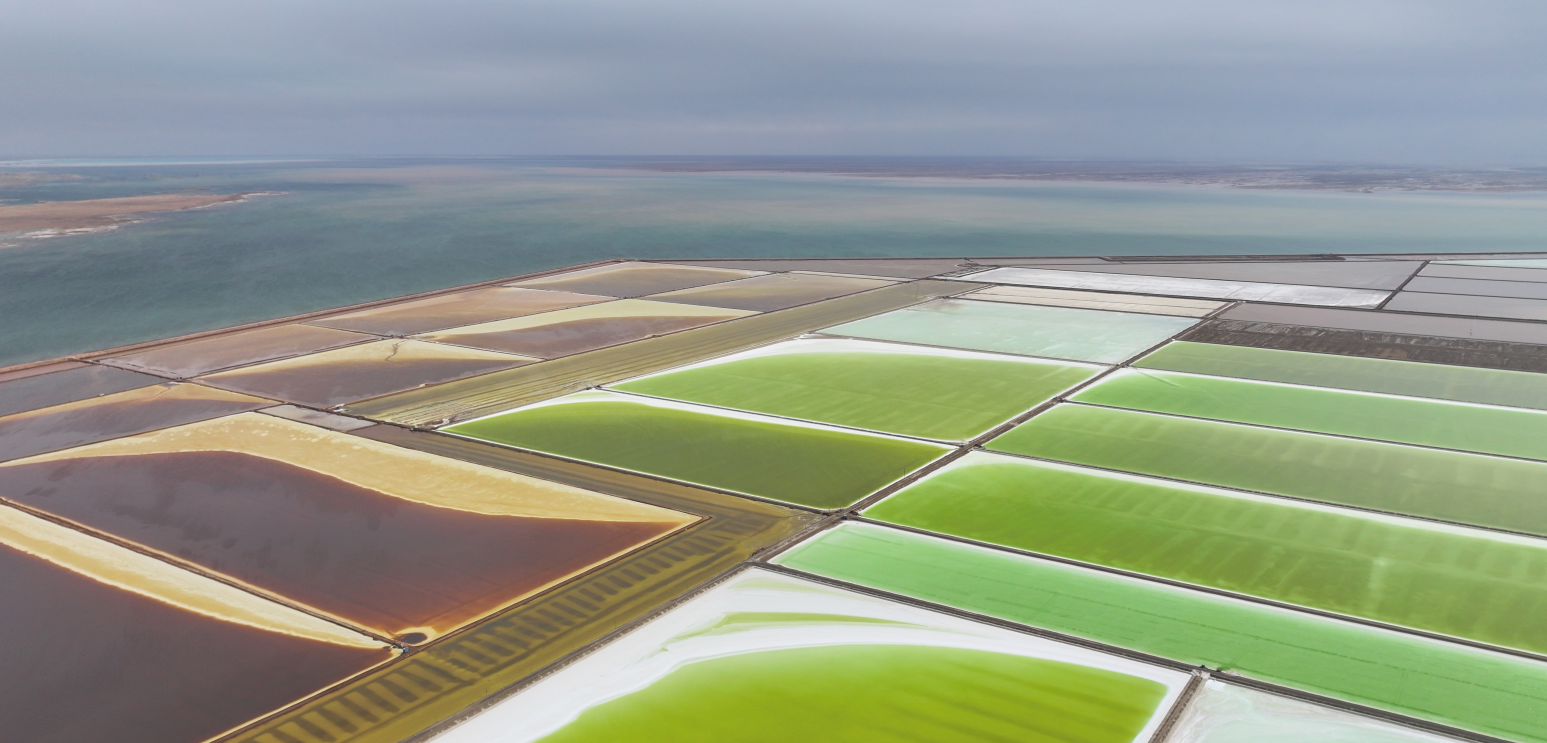 Quick Project Delivery: How BICHEM Redefines Speed & Value in Global Lithium Extraction